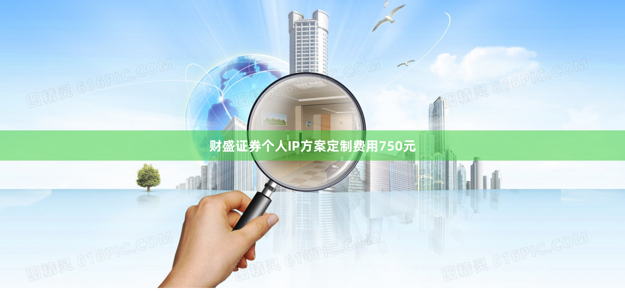 财盛证券个人IP方案定制费用750元