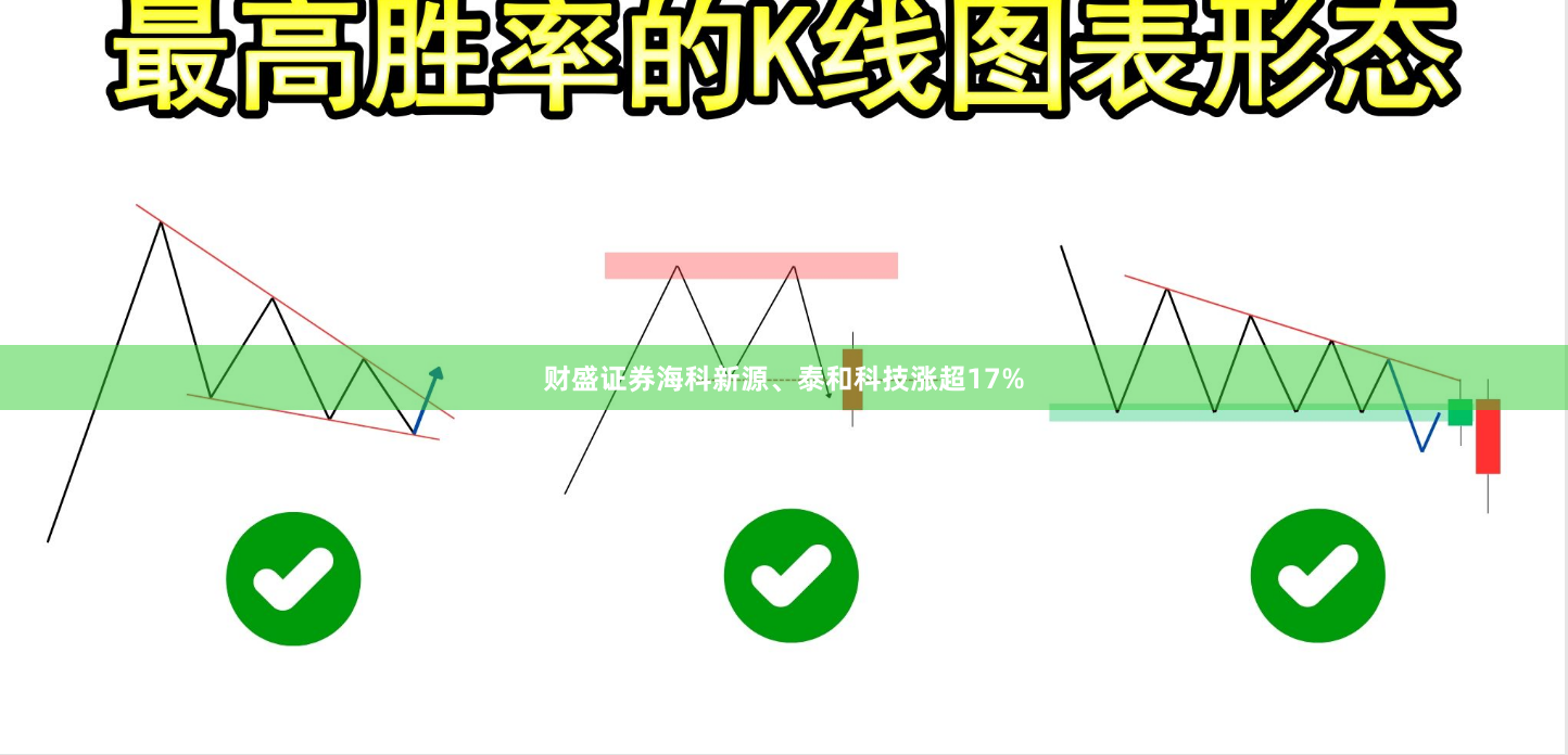 财盛证券海科新源、泰和科技涨超17%