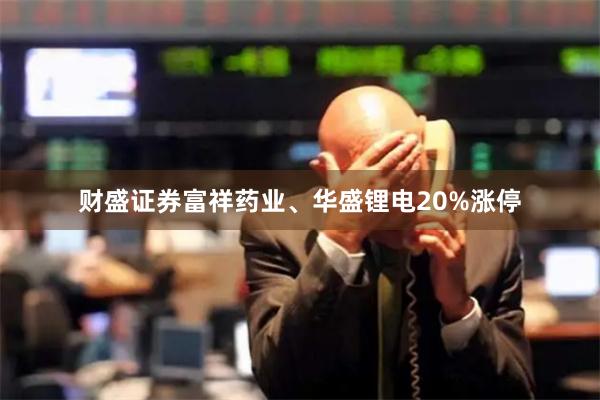 财盛证券富祥药业、华盛锂电20%涨停